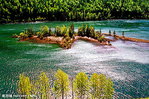 金秋喀纳斯6日行