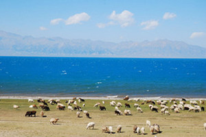牧场风物画:天池、吐鲁番、那拉提、天鹅湖5日游