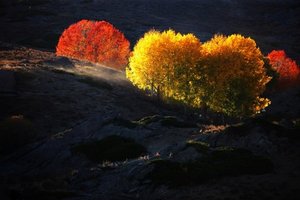 喀纳斯、伊犁、巴音布鲁克、库木塔格沙漠8日游