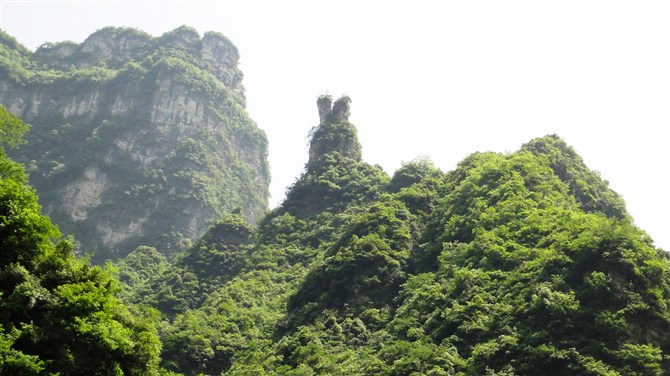 三峡竹海风景区 三峡竹海
