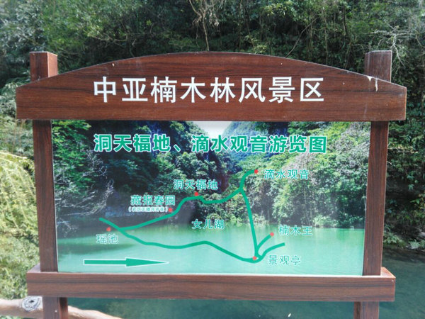 宜昌中亞楠木林旅游