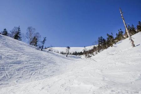 �˲������ܹȻ�ѩ��˫�������Σ�ס��ѩ������ׯ԰���໬ѩʱ�䣩