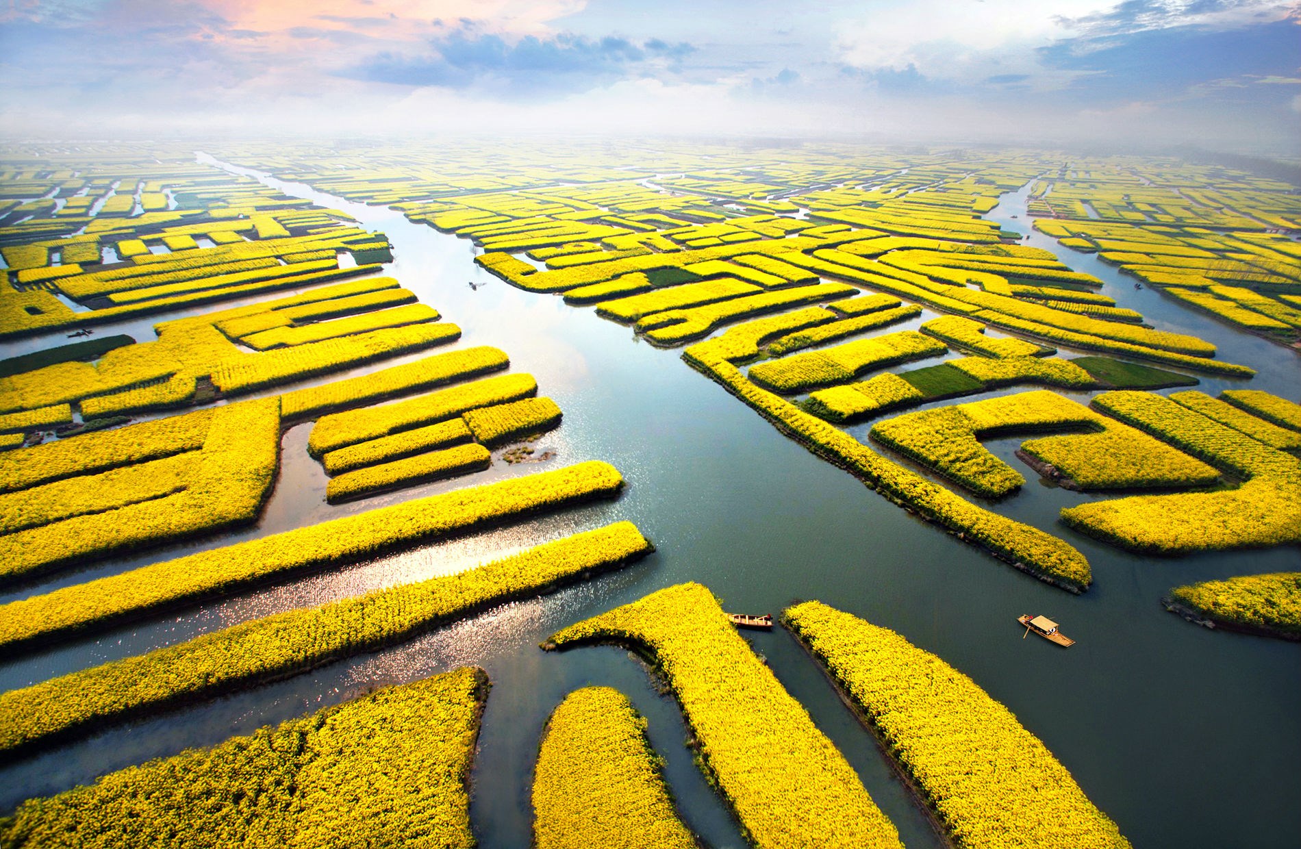 扬州瘦西湖、垛田油菜花、鼋头渚+三水乡乌镇、木渎、西塘6日游_辽宁北方国际旅行社