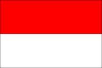 印度尼西亚旅游签证—印尼个人自由行签证