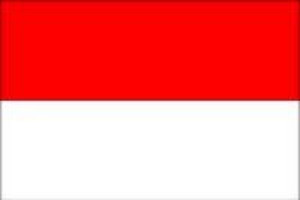 印度尼西亞旅游簽證—印尼個人自由行簽證