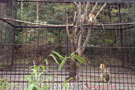 �ʵ��䵱ɽ ������ũ�� ������ź�������