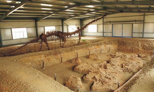 靈武恐龍地質博物館