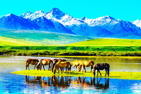 ��������-ɽ��������-��ʿ��-������-��̩�ų�����3����