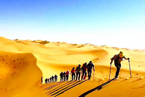 【沙漠徒步研学游】行走的力量探索腾格里沙漠研学6日游