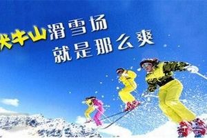 元旦周边滑雪攻略_伏牛山滑雪旅游报价_郑州到伏牛山滑雪两日游
