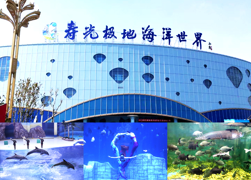 东北哈尔滨正规旅行社排名前十权威发布靠谱服务好冰雪旅游首选