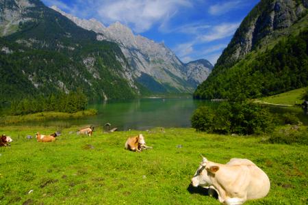 澳洲旅游【澳洲大堡礁9天精彩之旅】 国旅电话