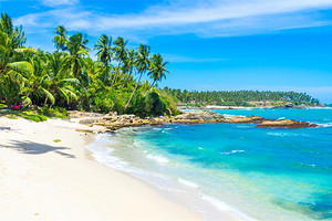 斯里兰卡海岛推荐【浪漫斯里兰卡】6-8日斯里兰卡旅游团