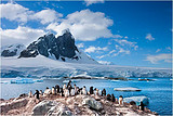 南森号/阿蒙森号-巴西 南极半岛 阿根廷 智利 秘鲁 32天