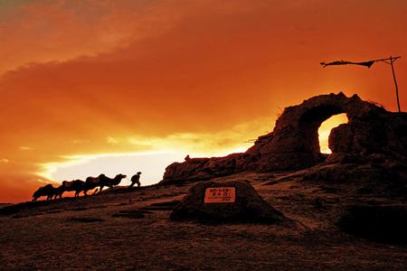 ������������/Ӱ�ӳ�/ɳ��ͷ/ͨ����ԭ��������/ɳ��������