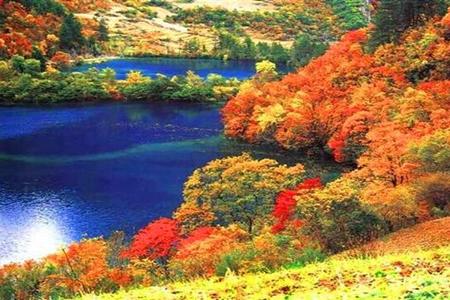 �������Ĵ���կ��/����/����˫�������� /Ʒ���Ÿ�ʡ��