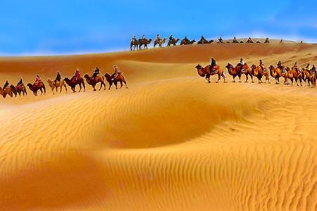 ����������ͨ����ԭ/ɳ��ͷ/�����Խ/66�Ź�·������