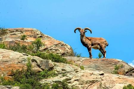 ����ͨ����ԭ/ɳ��ͷ/�򱱱�Ӱ�ӳ�/����ɽ�һ�/������������