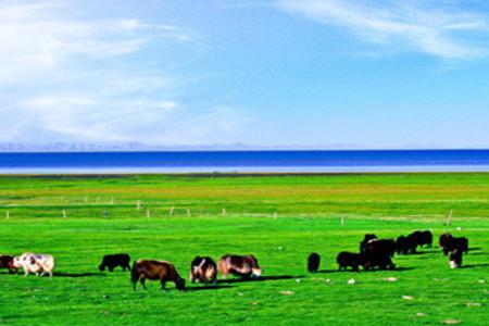 ���ݵ������������ԭ/׿��ɽ/��Ҵ/������/�ػ�Ī�߿�������