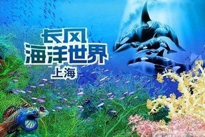 上海海洋世界一日游【獨立成團】