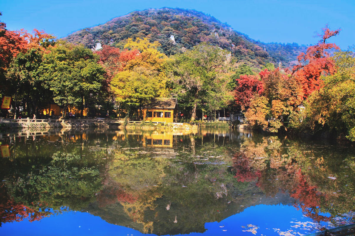 苏州天平山枫叶已到最佳观赏期，满山火红，四大赏枫胜地名不虚传_香山