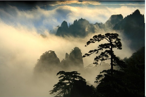 早餐后,乘车赴黄山风景区,游览世界自然和文化双遗产,世界地质公园
