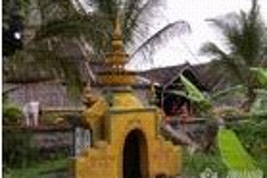 ���p��{6����