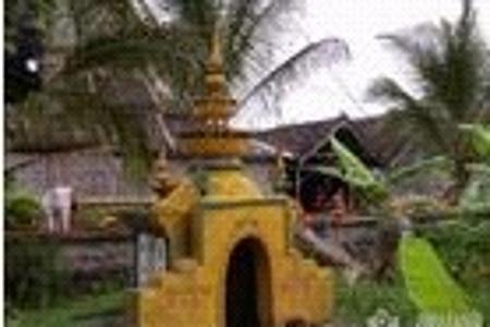 ���p��{6����