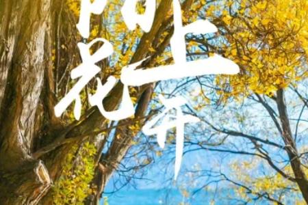 陌上花开 8天7晚纯玩无购物,正常年龄13岁-70岁,昆大丽