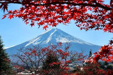 【日本本州6晚7日游】10-12月 北京/天津直飞 一价全含