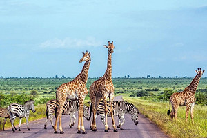 ���Ϸǻ�԰���10���Ρ�4-12�� ���ڳ��� ������ȫ������