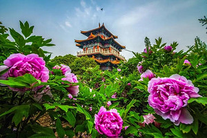 ������˫��5���Ρ�5��1�� ������������ ����0����