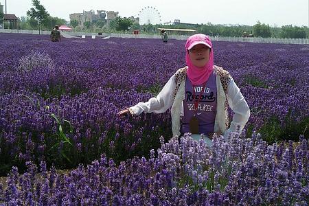 江苏兴化市道北戴河沈阳大连五日旅游