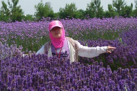 芜湖到北戴河山海关南戴河疗养三日游经典团