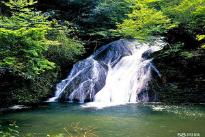 θŶǮ-4ζǮ-ָ