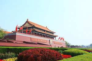 45Ʒʸ