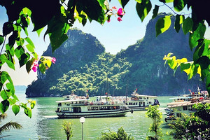 北海去越南下龙湾_河内旅游攻略|北海越南旅游路线