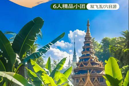 云南西双版纳中科植物园+勐泐大佛寺+野象谷【仙踪象语】5日游