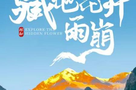 云南昆明石林、大理、丽江、香格里拉、梅里雪山、雨崩11日游