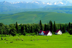 ��ɫ������׼�����������ӹȼ����ջ�10����