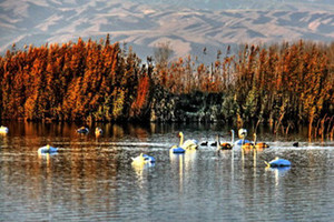 4�Ŷ�ҩ��ͯ��������ԭ������ɽ��·8����