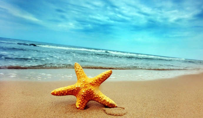 郑州旅行社斐济游报价植物岛5晚+索菲特1晚