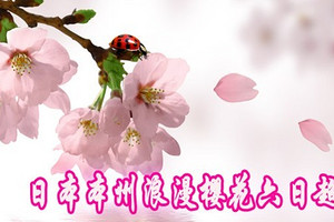 �ձ�����������ӣ6�ճ�ֵ��_�ձ���ӣ֮��_�ɶ����ձ����η���