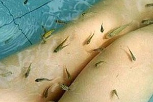 2015���ڴ�����Ȫ��ѩ����-����������Ȫ��ѩ2����-����