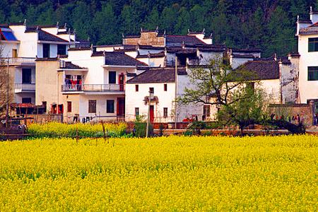 江西旅游团瓷婺时光婺源篁岭瑶里高铁三日游