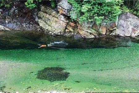 武鳴英俊峽谷下游碧水源山莊泡水純玩一日遊