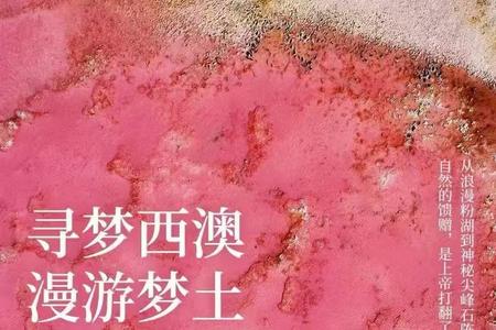 ���Ĵ�����9����