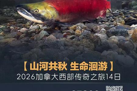 ���ô���������֮��14����