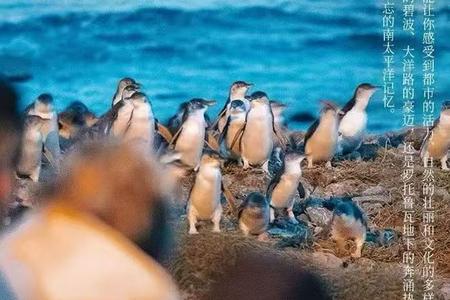 �Ĵ�����ī������Ϥ��+�������ϱ���12����