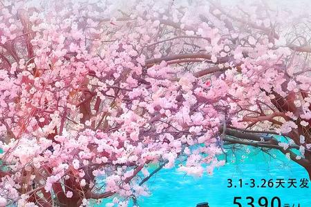 �½���ɽʤ���������޲��˴�կ��Ľʿ����塢��ʲ�ų�8����